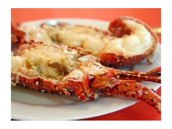 海賊船『キャプテン・フック』ディナークルーズ 本場カリブの海賊に会いに行こう！＜飲み放題／カンクン発＞