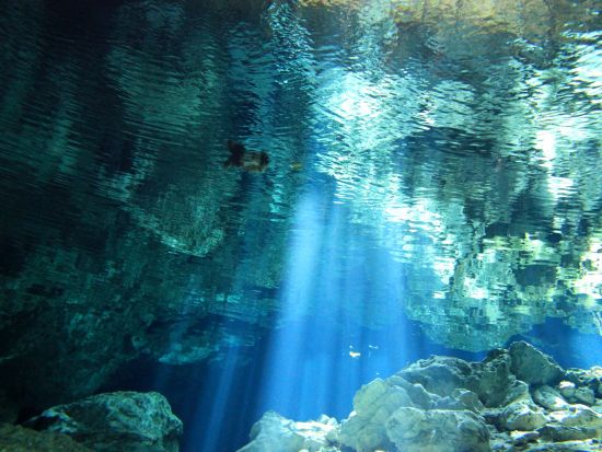グランセノーテシュノーケリング半日観光ツアー 朝一番でセノーテを独り占め！＜混載／午前／日本語ガイド／カンクン発＞