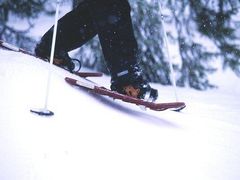 SNOWSHOES2