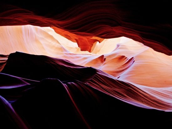 shutterstock_466062194