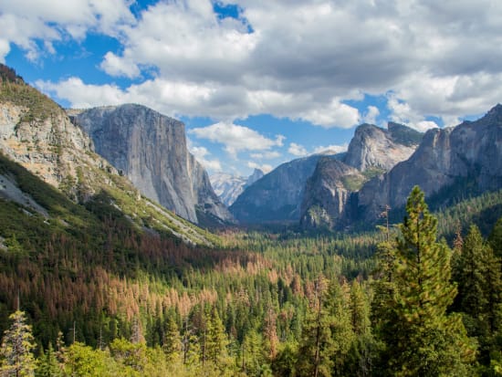 USA_California_Yosemite_National_Park_Tunnel_View_shutterstock_597188564