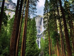 USA_California_Yosemite_National_Park_Yosemite_Waterfalls_shutterstock_128950319