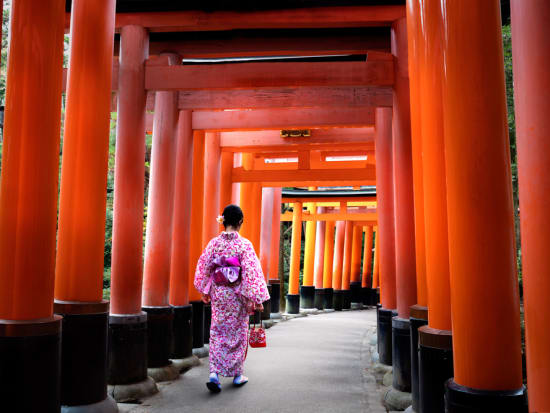 Fushimi Inari Visitor