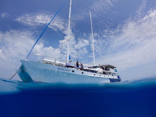 ミコマス・ケイ セーリングクルーズ　美しいサンゴ礁に囲まれた白砂の島で過ごす贅沢な1日 ＜ビュッフェランチ／無料スノーケリング・半潜水艦体験付き＞