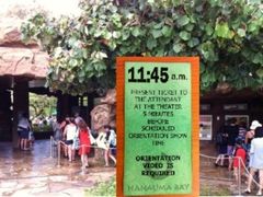 20130528004443_1310559151_146_0