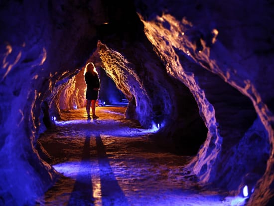 Waitomo Glowworm Caves and Ruakuri Cave Tour