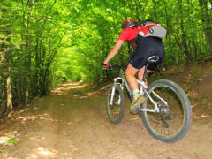 Arthurs Seat Bike Trail Ride