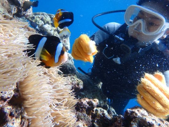 青の洞窟 体験ダイビング+バナナボート　ツアー中のお写真プレゼント！お魚へエサあげ体験付＜ボート／ガイド貸切／恩納村ショップ集合＞