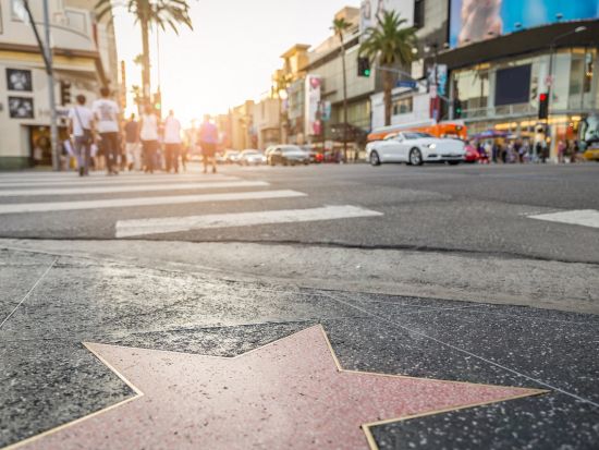 ロサンゼルス 貸切観光チャーター　少人数グループでの旅行におすすめ＜1～10名／4～8時間／日本語ドライバー＞