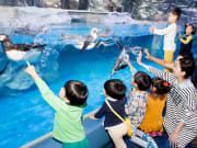 Lotte World Aquarium kids looking at penguins swim