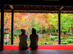 Japan_Kyoto_Enkoji_Temple_Autumn_Garden_Foliage_shutterstock_475361812