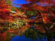 Japan_Kyoto_Daigoji_Temple_Autumn_Foriage_Garden_shutterstock_407588119