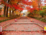 Japan_Kyoto_Bishamondo_Temple_Entrance_Autumn_Foliage_shutterstock_239033587
