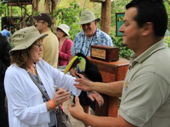 熱帯雲霧林の中の自然公園「ラ・パス・ウォーターフォール・ガーデン」1日ツアー＜英語ガイド／ビュッフェ昼食付／サンホセ発＞