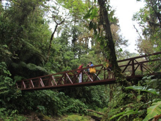 熱帯雲霧林の中の自然公園「ラ・パス・ウォーターフォール・ガーデン」1日ツアー＜英語ガイド／ビュッフェ昼食付／サンホセ発＞