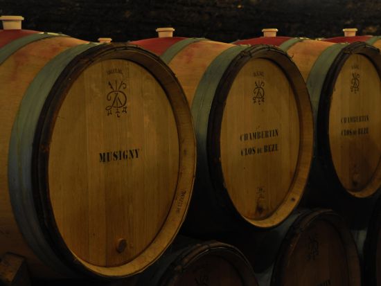 ブルゴーニュ地方　コート・ドール(黄金の丘陵)　ドメーヌ見学＆ボーヌでの自由時間あり！＜試飲付／英語ガイド／ディジョン発着＞