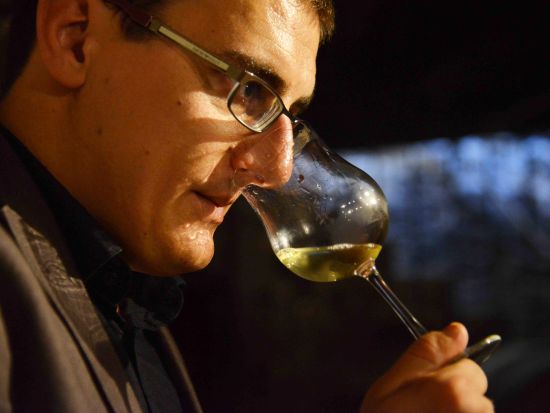 ブルゴーニュ地方　コート・ドール(黄金の丘陵)　ドメーヌ見学＆ボーヌでの自由時間あり！＜試飲付／英語ガイド／ディジョン発着＞