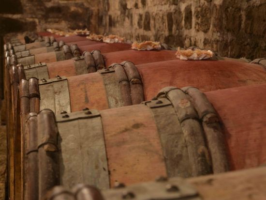 ブルゴーニュ地方　コート・ド・ニュイ地区　ドメーヌ＆シャトー・デュ・クロ・ド・ヴージョを訪問＜試飲付／英語ガイド／ディジョン発着＞