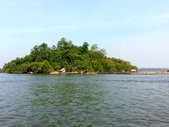 Madhu River Safari