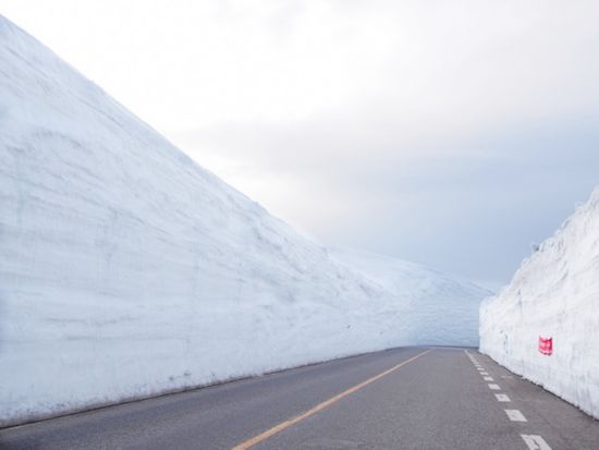 雪の大谷ウォーク日帰りバスツアー 黒部立山アルペンルート中心地の絶景を体験！＜昼食付／4～5月／名古屋発＞