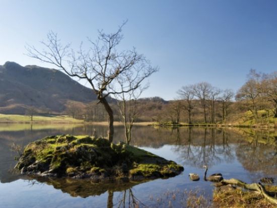 20120725234258_1730889467_2074_0