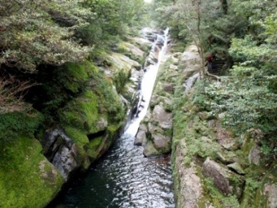 20120730025222_1206741702_3079_0