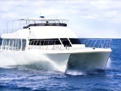 whale_kodawari01_img01