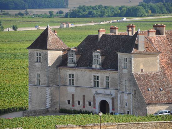 ブルゴーニュ地方　コート・ド・ニュイ地区　ドメーヌ＆シャトー・デュ・クロ・ド・ヴージョを訪問＜試飲付／英語ガイド／ディジョン発着＞