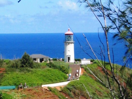 カウアイ島探索ツアー　シダの洞窟へ行くワイルア川クルーズ付き＜英語ガイド＞