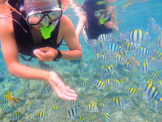 アイランドホッピング ヒルトゥガン島 半日で満喫！海洋保護区でシュノーケル ＜午前・午後プラン／日本語ガイド／GoProレンタルオプションあり＞