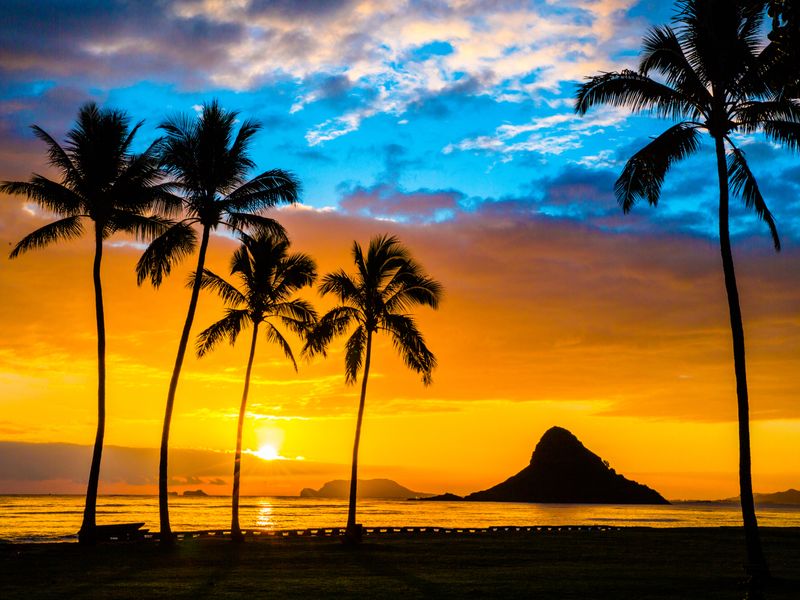 Oahu Island Tours & Excursions (Sightseeing / Guided Tours), Oahu tours