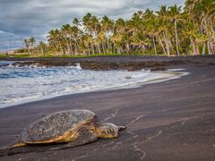 day trips honolulu