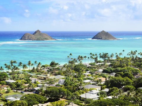 famous kailua beach top