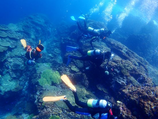 ファンダイビング 鹿児島周辺のビーチで潜ろう 1名～参加OK<鹿児島市発> by アクアトリップ ダイビング
