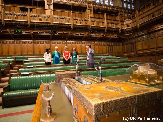 【2026年8月】日数限定！イギリス国会議事堂（ビッグベン）特別内部見学　日本語公認ガイドツアー＜ロンドン発＞ by Mybus