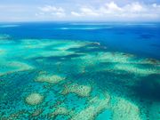 Tandem Skydiving over Great Barrier Reef