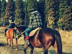 Horseback Riding at Jeju Horse Park