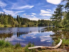Tarn Hows