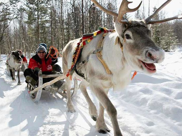 reindeer riding