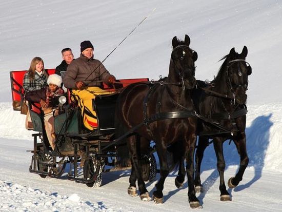 Pferdeschlittenfahrt, Horse, Sleigh Ride, Austria