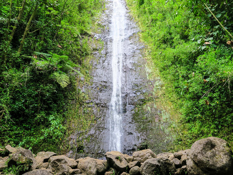 Hike Manoa Falls (Top Oahu Attractions & Sights), Oahu tours ...