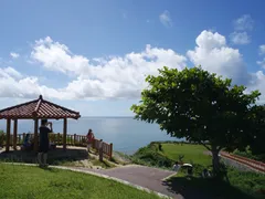 SAM_8742