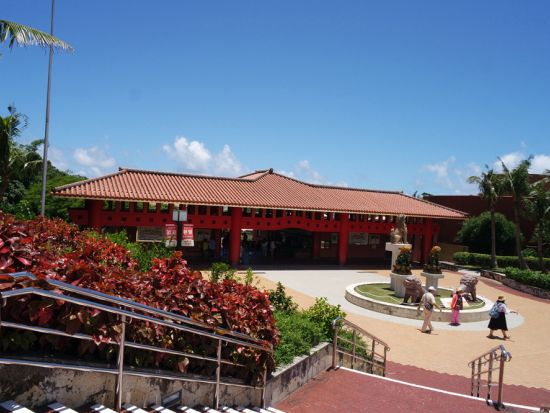 貸切観光タクシー　美ら海水族館・万座毛・首里城など思い通りにめぐるセミオーダーのプライベートツアー＜5～10時間／1～9名／那覇市内・空港送迎可＞