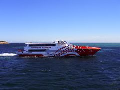 Rottnest Island Perth