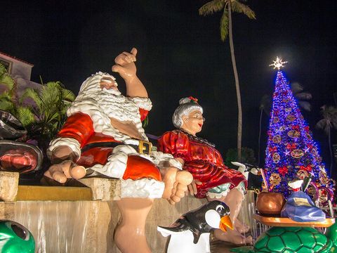 displays that celebrate christmas in the hawaiian isles from on board a waikiki trolley as it takes you around town go on a special christmas dinner - Fun Things To Do On Christmas Eve displays that celebrate christmas in the hawaiian isles from on board a waikiki trolley as it takes you around town go on a special christmas dinner - Fun Things To Do On Christmas Eve
