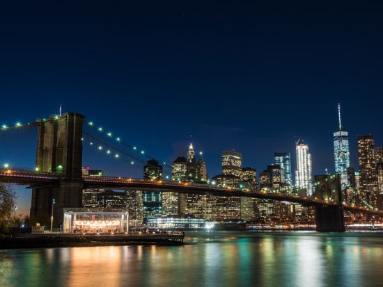 ニューヨーク夜景鑑賞ツアー＆チャートハウスレストランの3コースディナー　ブルックリン・ブリッジ＋ハミルトン・パーク＜日本語ガイド／貸切＞ 