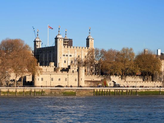 ロンドン半日観光ツアー　セント・ポール大聖堂＆ロンドン塔入場＆テムズ川クルーズ ＜英語ガイド＞