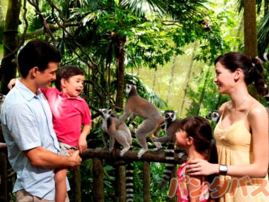 シンガポール動物園半日ツアー＜午前発／市内ホテルお迎え／日本語ガイド＞