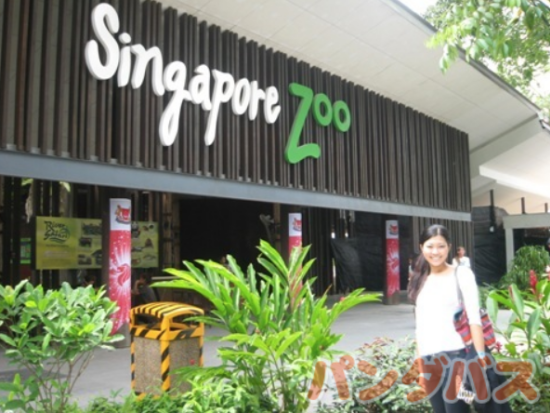 シンガポール動物園半日ツアー＜午前発／市内ホテルお迎え／日本語ガイド＞
