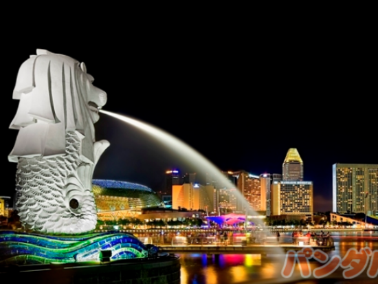 シンガポール夜景ツアー マーライオン＆リバークルーズ乗船＆ガーデンラプソディ＜日本語ガイド＞
